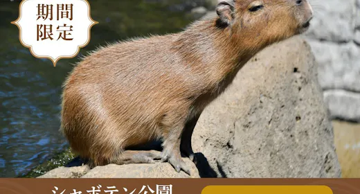 【シャボテン公園入園チケット付き】動物とのふれあいと温泉を楽しむ!<素泊まり>