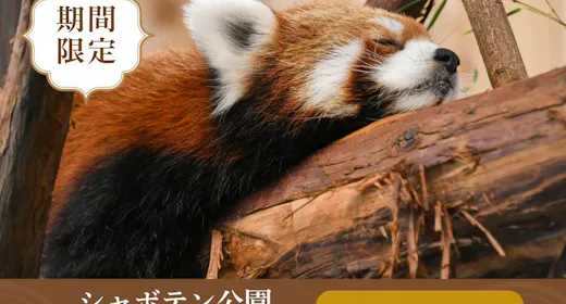 【シャボテン公園入園チケット付き】動物とのふれあいと温泉を楽しむ!<朝食付き>
