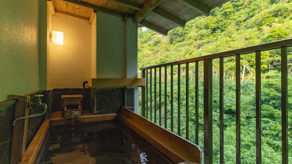 Sake Hotel Tamakiya