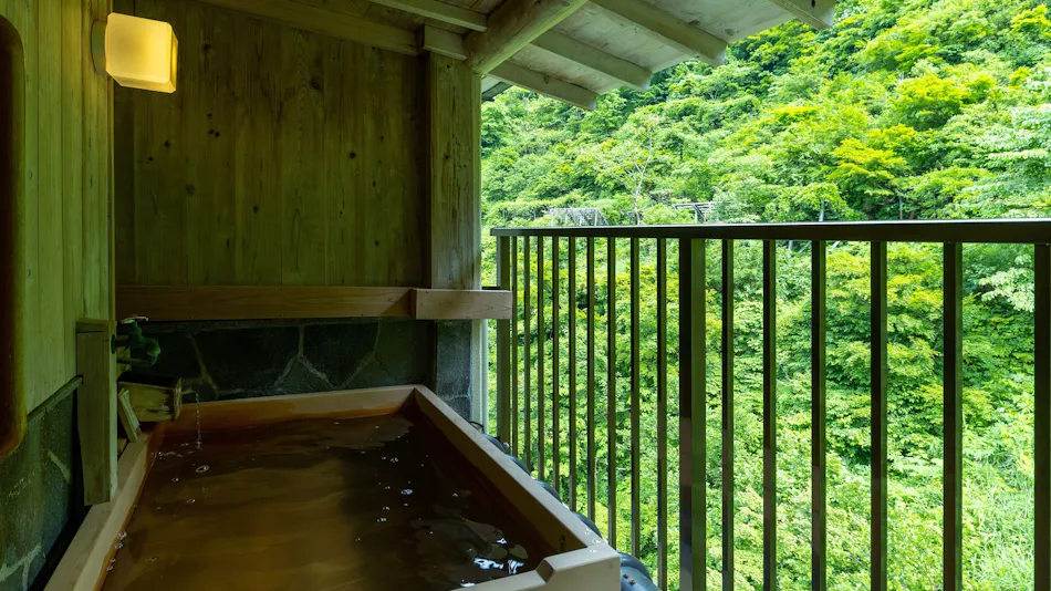 Sake Hotel Tamakiya
