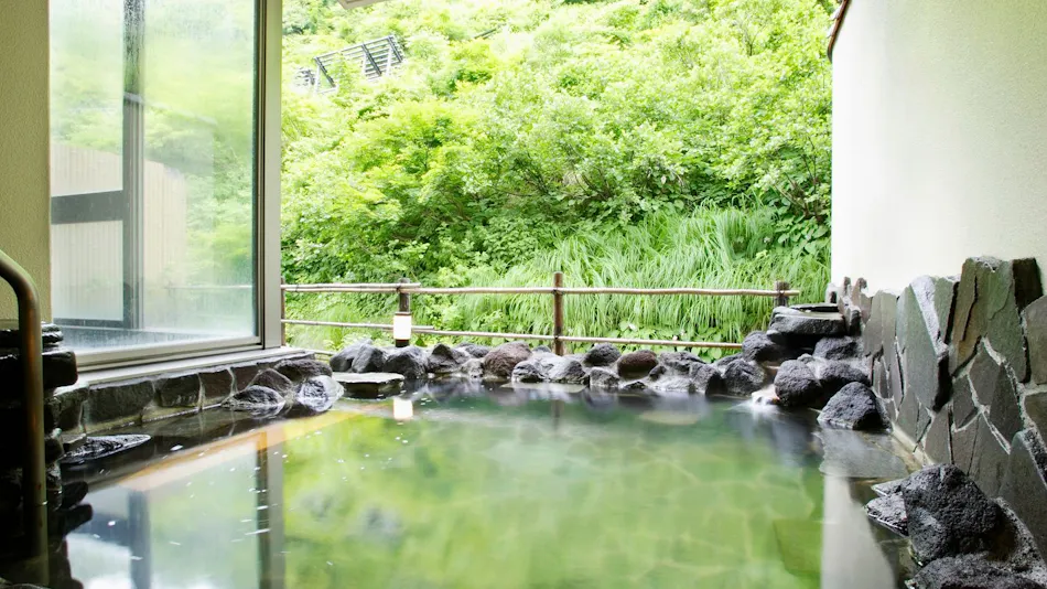 Sake Hotel Tamakiya