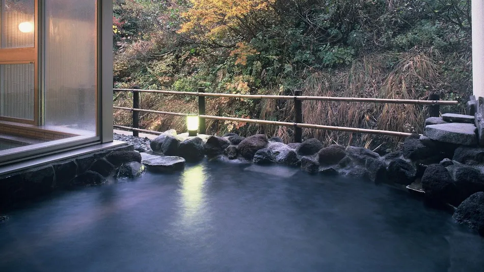 Sake Hotel Tamakiya