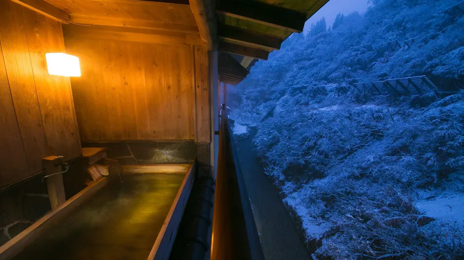 Sake Hotel Tamakiya