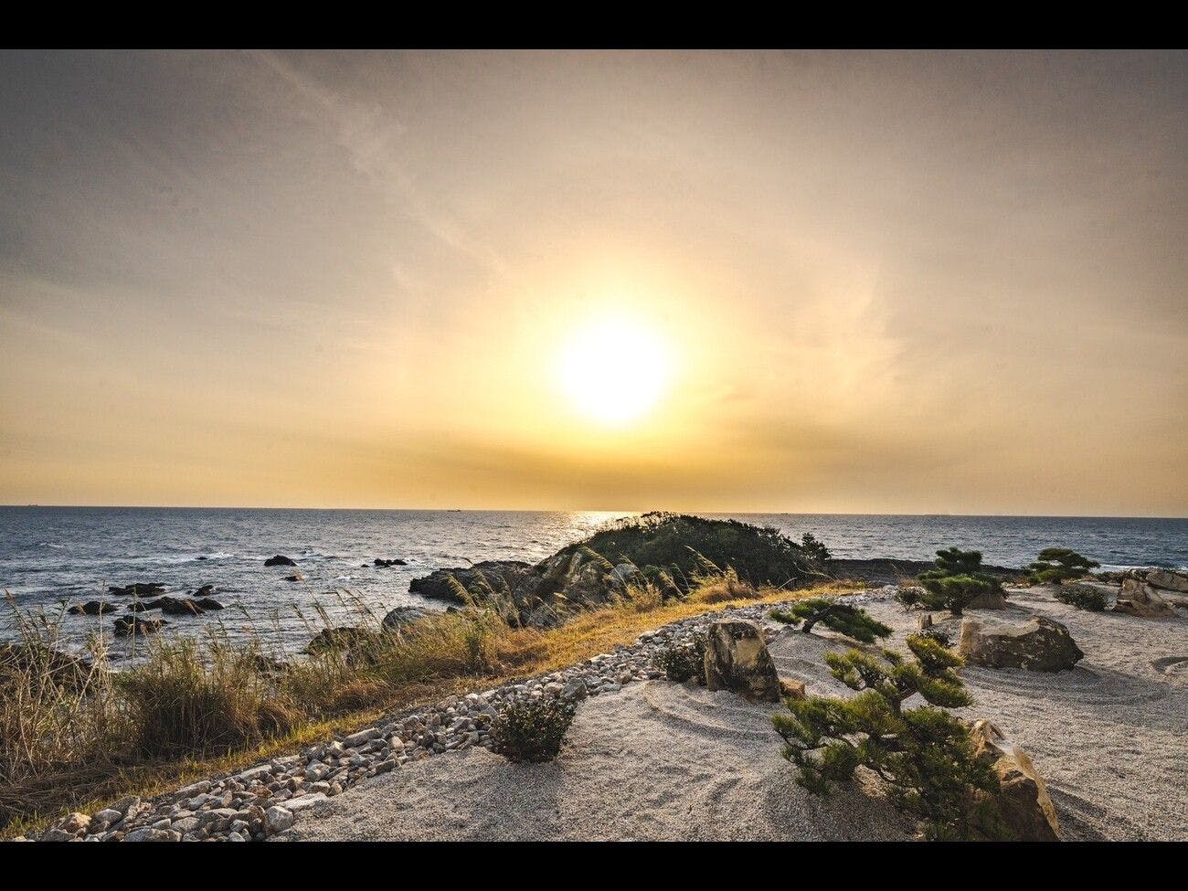 13585822.jpeg?auto=compress,