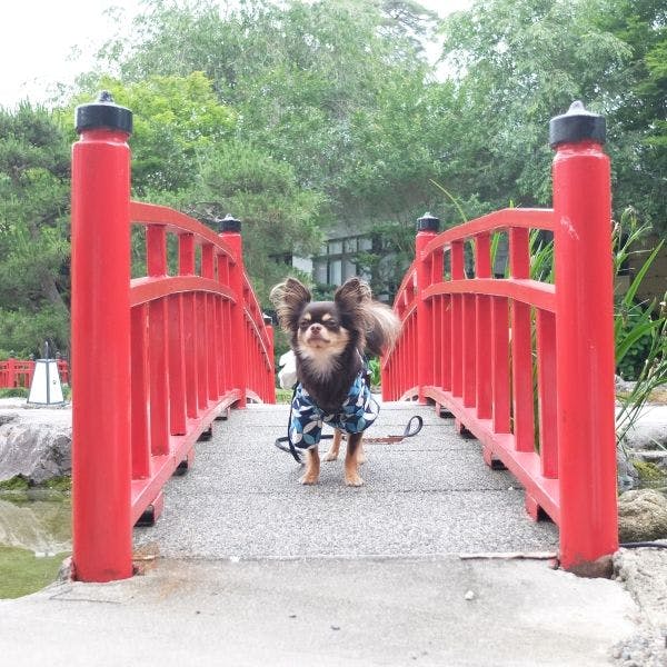 鬼怒川 絆
