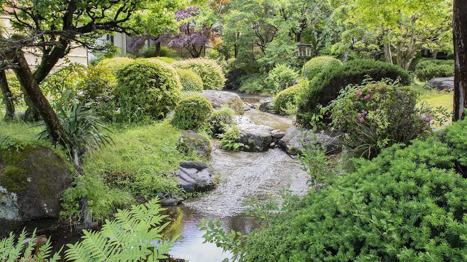 Kinugawa Kizuna