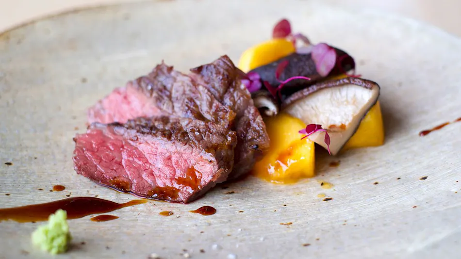 Snow Peak FIELD SUITE SPA HEADQUARTERS