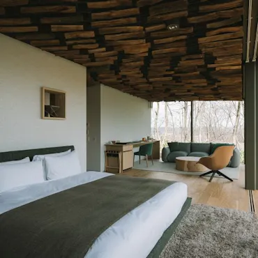 Villa Junior suite Forest