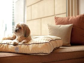 富士スピードウェイホテル