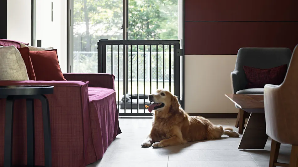 Fuji Speedway Hotel, Unbound Collection by Hyatt