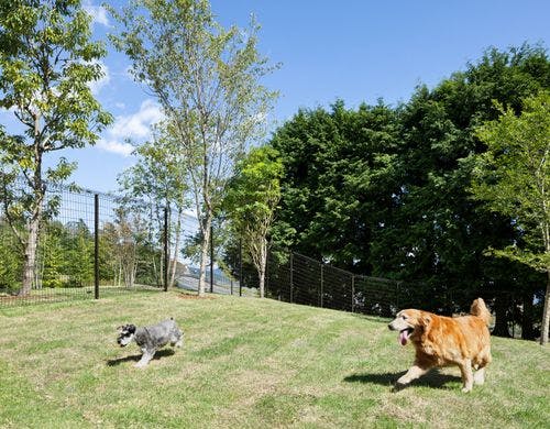 施設内にもドッグランがございます。