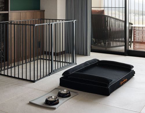 ドッグフレンドリーツインルーム