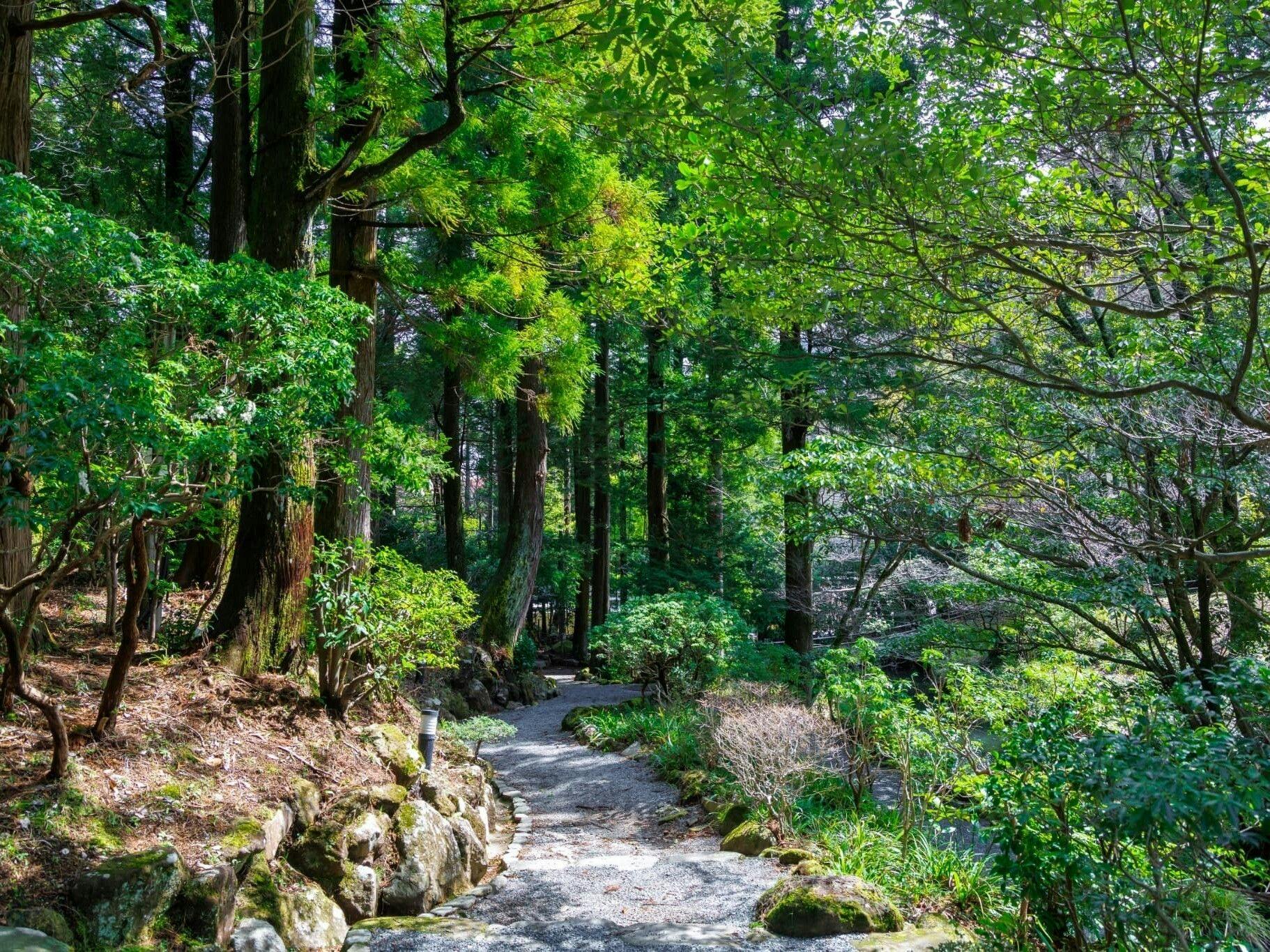 箱根ホテル小涌園（藤田観光リゾート）