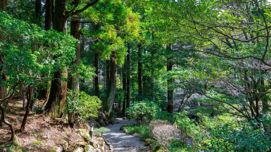 Hakone Hotel Kowakien