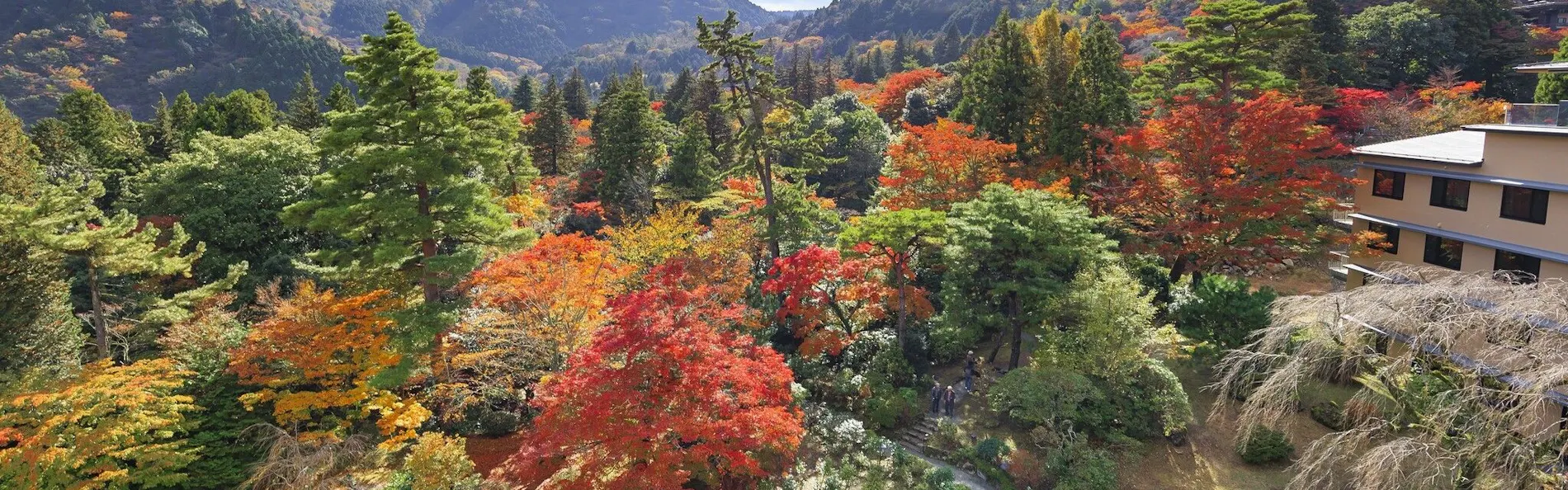 箱根ホテル小涌園(藤田観光リゾート)