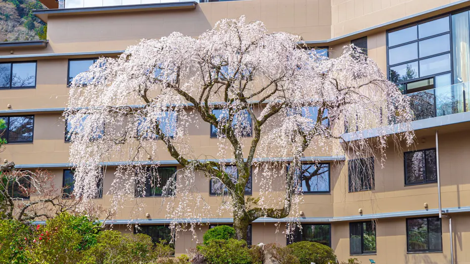 Hakone Hotel Kowakien
