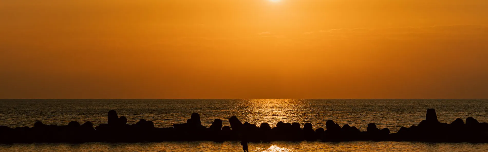 あたら夜 西伊豆 ~夜を愉しむ宿~