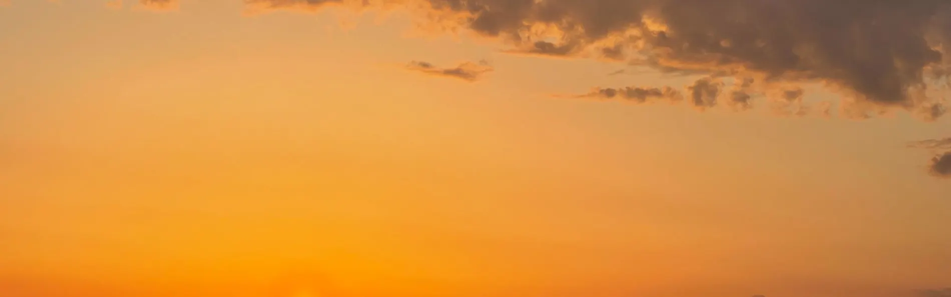 あたら夜 西伊豆 ~夜を愉しむ宿~