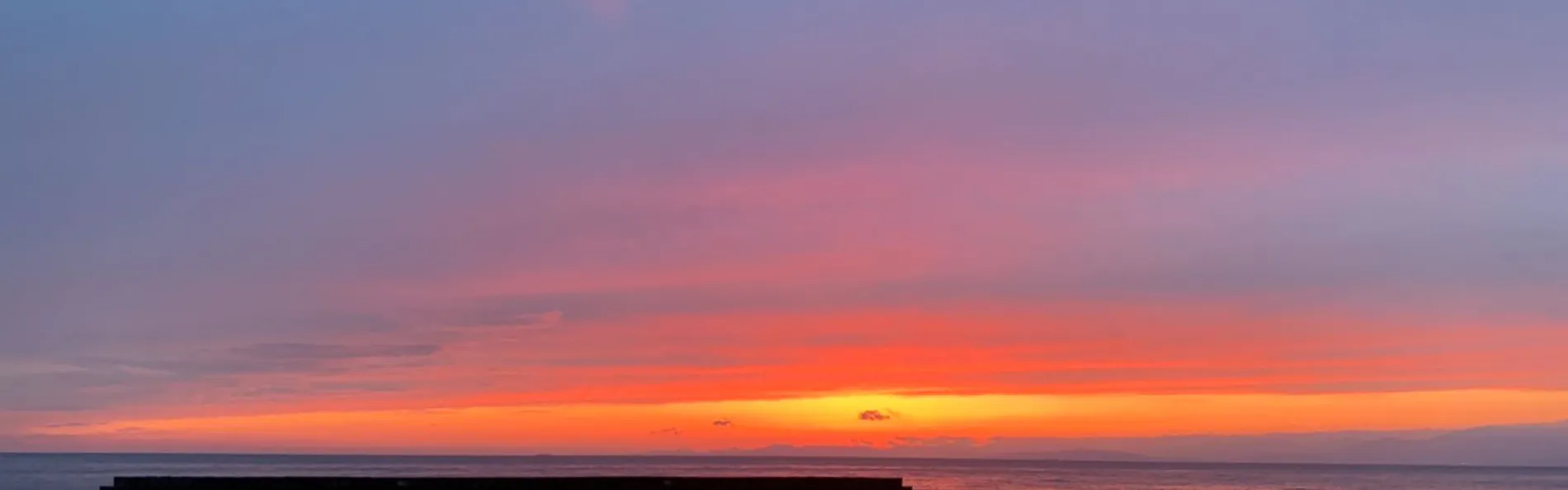 あたら夜 西伊豆 ~夜を愉しむ宿~