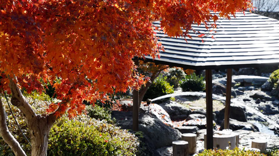Ryokan Suuntei