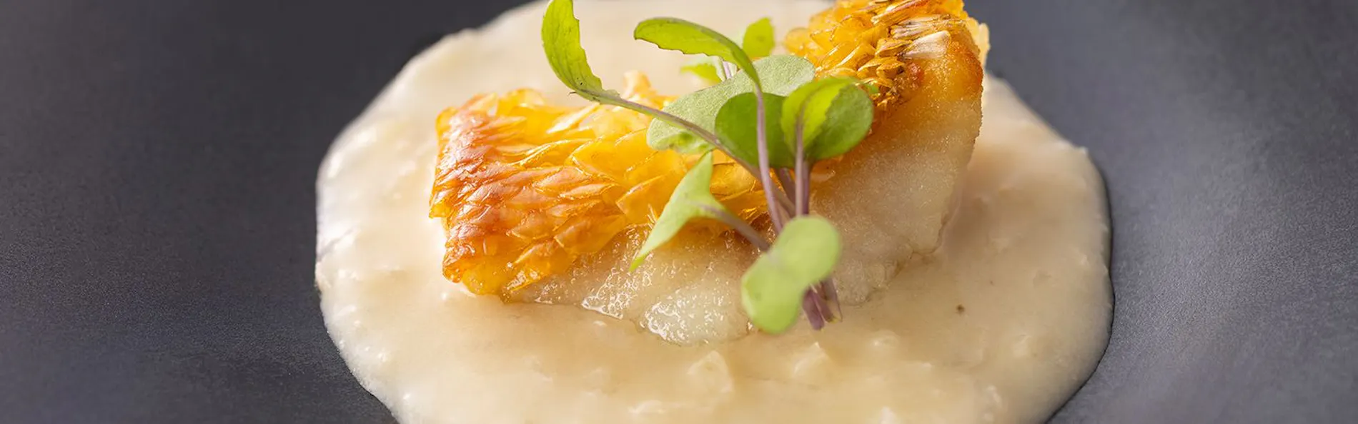 蒼の湖邸 BIWAFRONT HIKONE(ビワフロント彦根)
