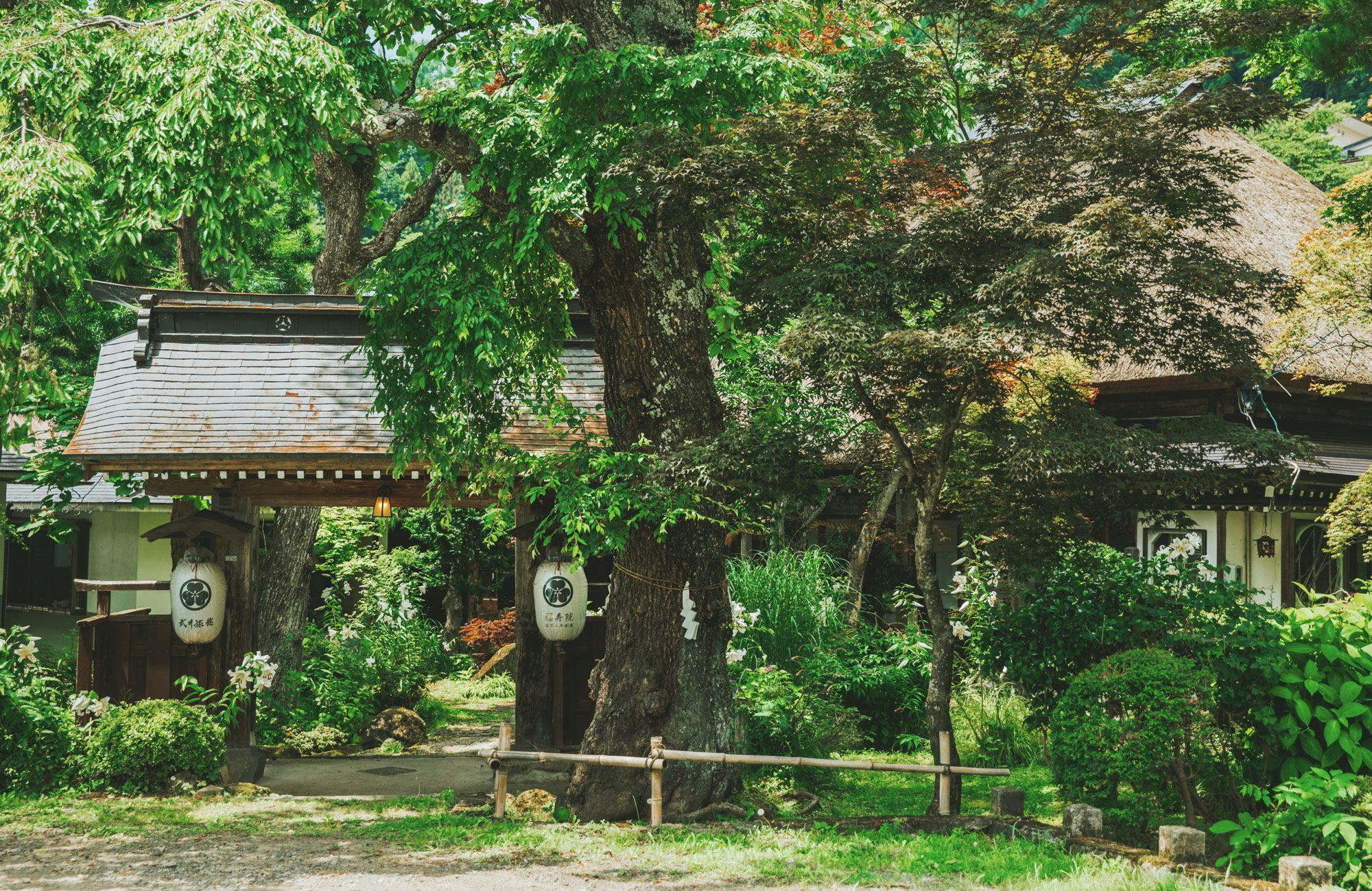 旧福寿院　武井旅館