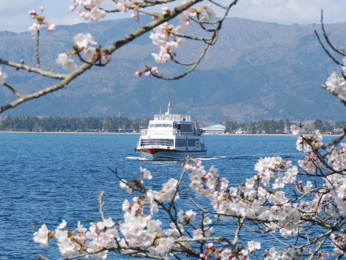 Kaizu Osaki Cherry Blossom Cruise