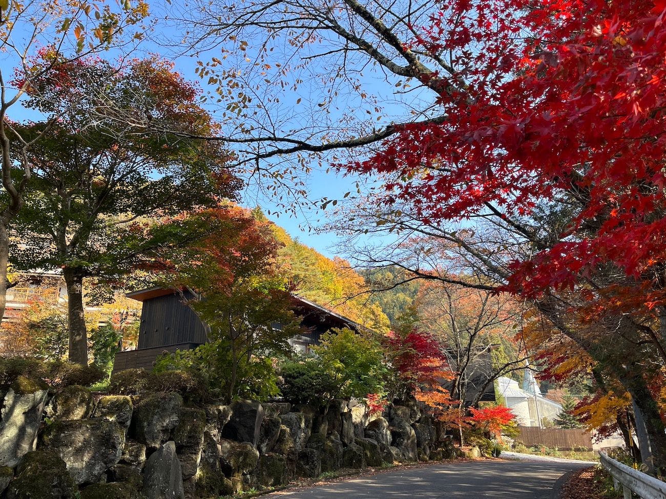 穂垂亭 Villas