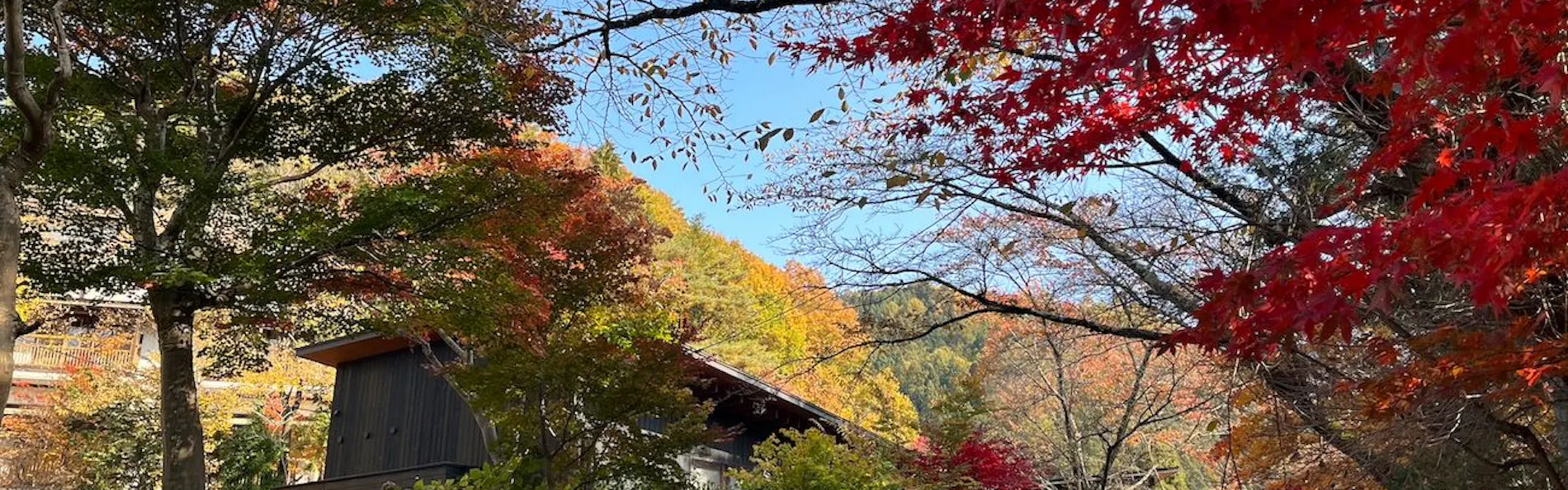 穂垂亭 Villas