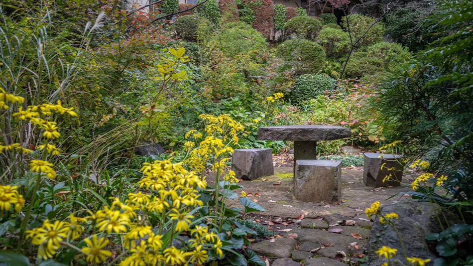 Motoyu Jinya