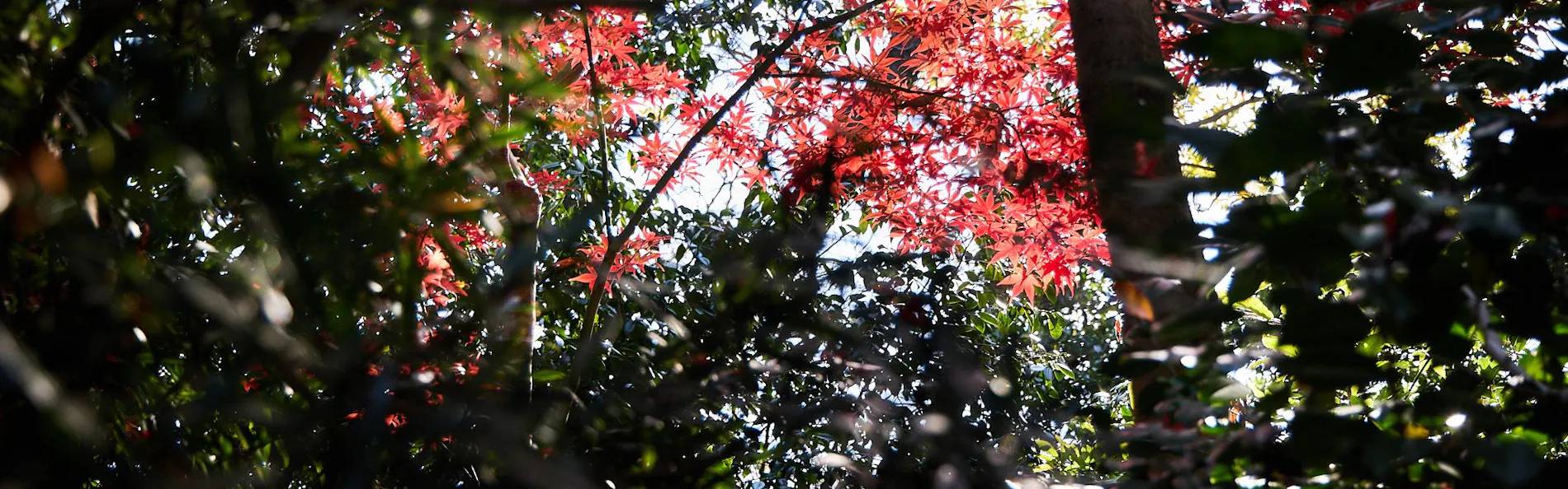 元湯 陣屋