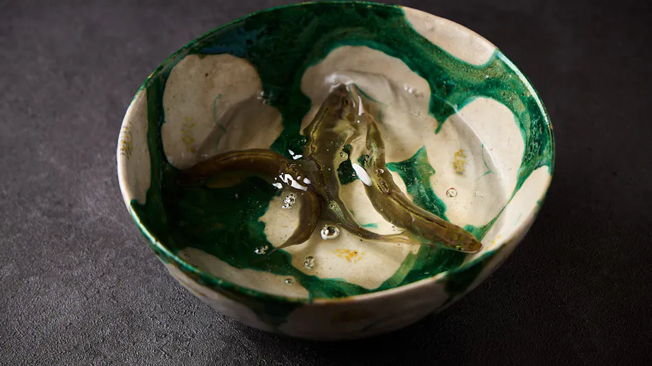 Motoyu Jinya