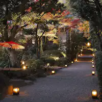 Ini adalah taman Jinya. Terdapat juga "Pokok Totoro" yang terkenal.