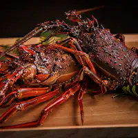 วัตถุดิบชั้นเลิศจากทะเลและผืนดิน (ตัวอย่าง)