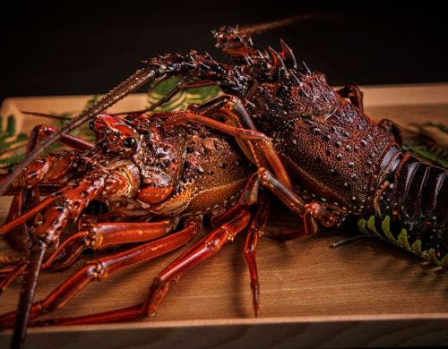 海と大地が育んだ最高の食材（一例）