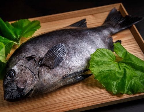 海と大地が育んだ最高の食材（一例）