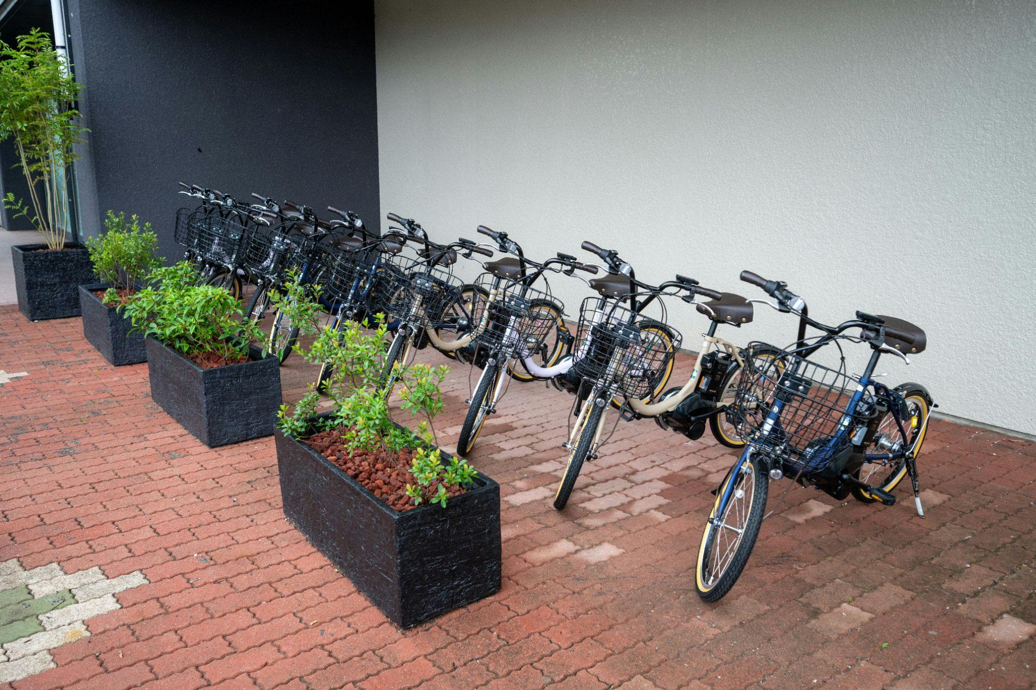 บริการให้เช่าจักรยาน