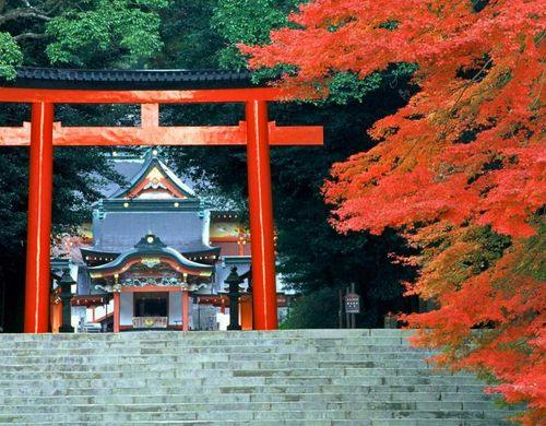 霧島神宮　紅葉の季節