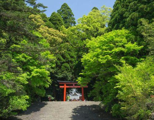 南九州最大の神宮、霧島神宮