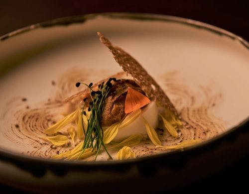 和のエッセンスを纏うフレンチキュイジーヌ