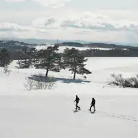 การเดินป่าด้วยรองเท้าหิมะ