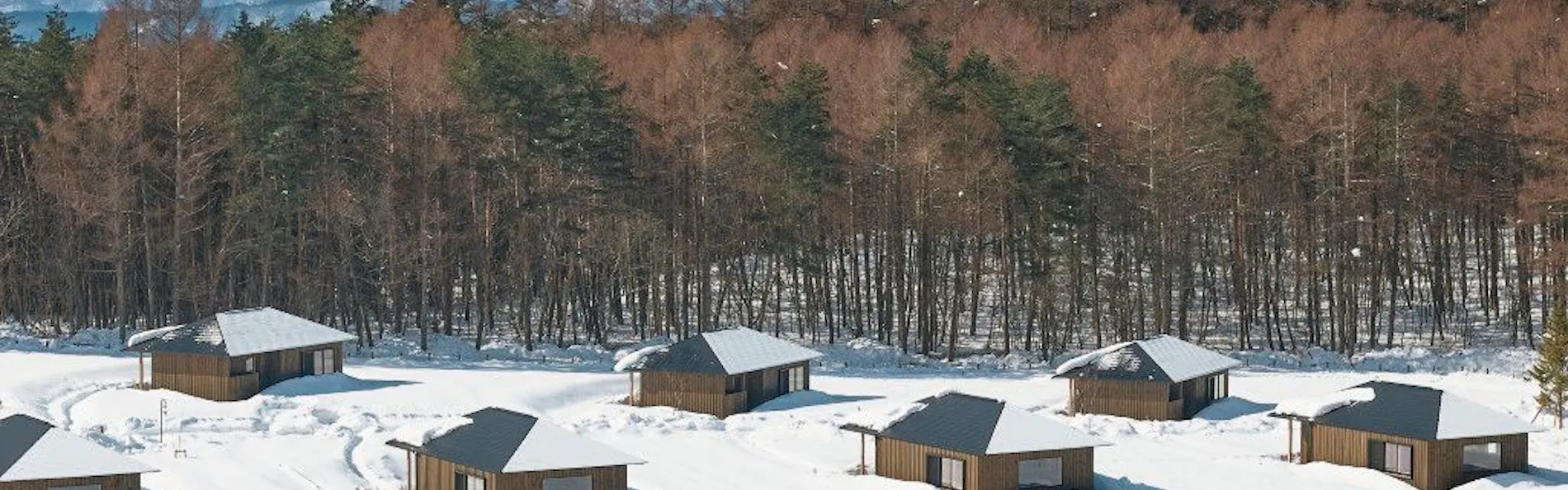 AZUMA FARM Koiwai