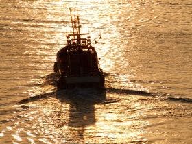 こみなと漁師料理 海の庭