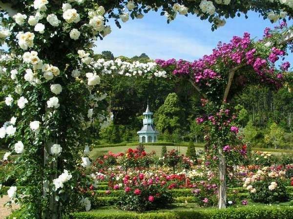 Taman Bagatelle Kawazu