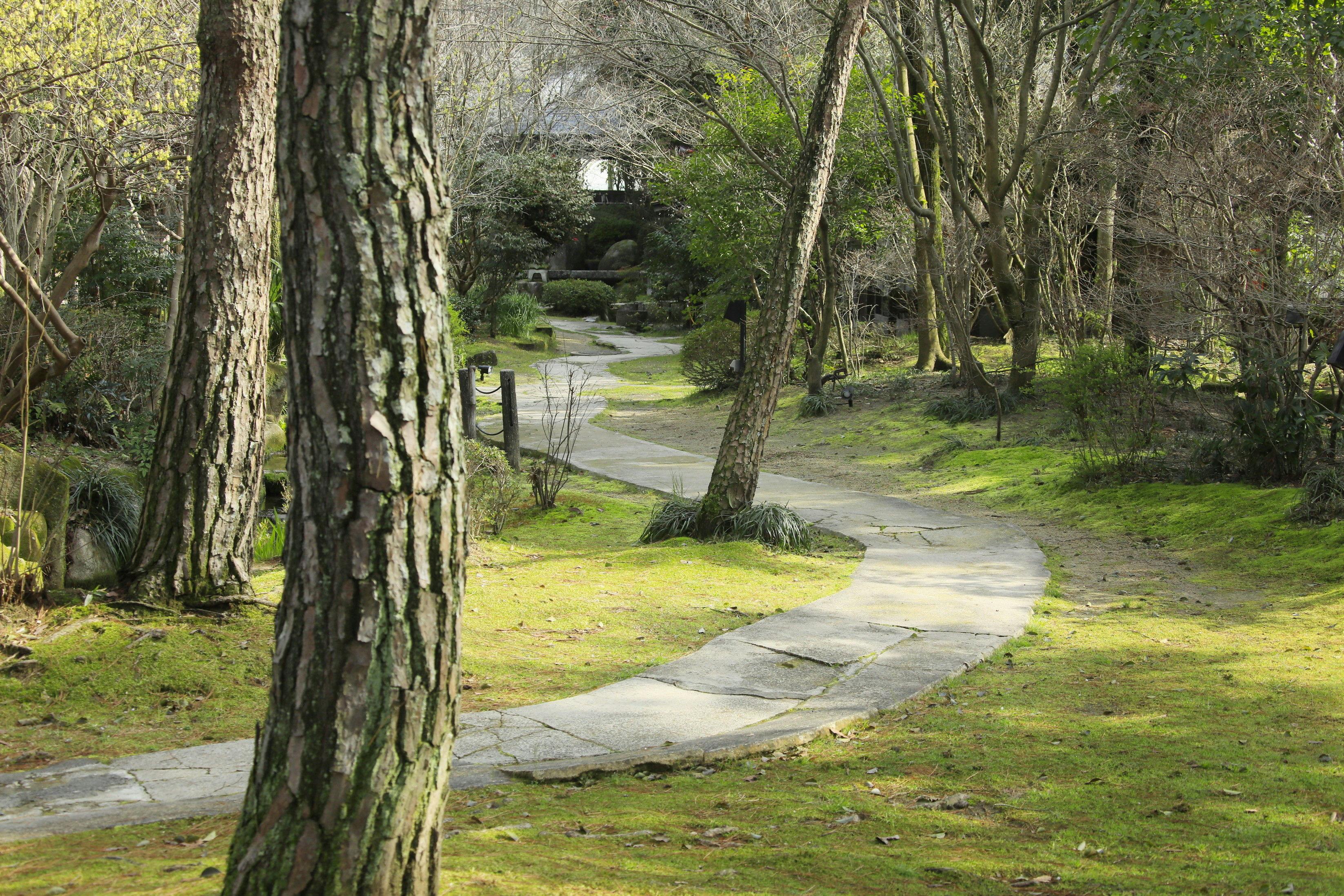 湯坂温泉郷　賀茂川荘
