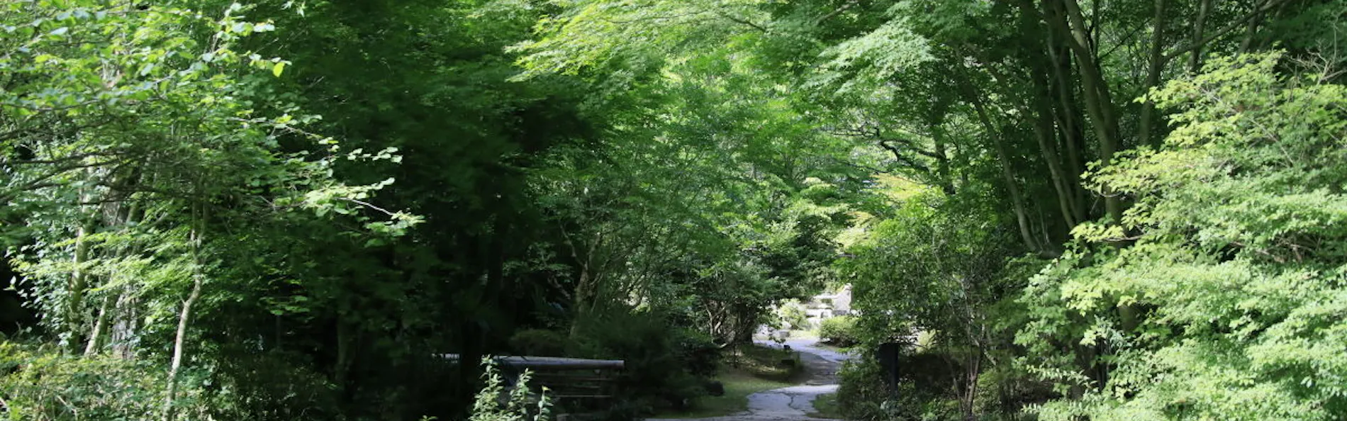 湯坂温泉郷 賀茂川荘