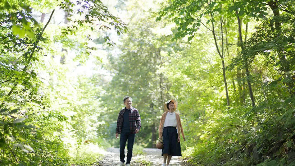Auberge Kiyosato: Restaurant & Hotel to Savor the Blessings of Yatsugatake