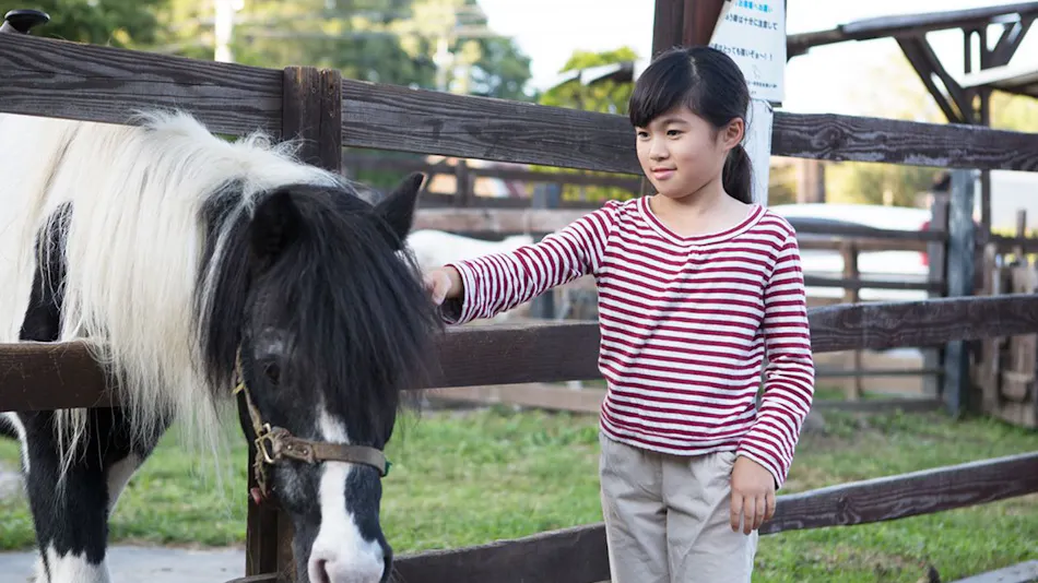 Auberge Kiyosato: Restaurant & Hotel to Savor the Blessings of Yatsugatake