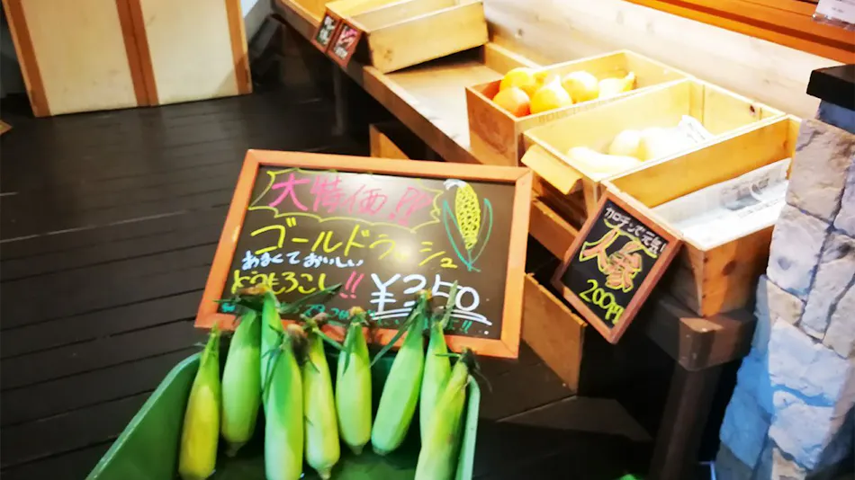 Auberge Kiyosato: Restaurant & Hotel to Savor the Blessings of Yatsugatake