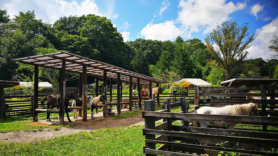 Auberge Kiyosato: Restaurant & Hotel to Savor the Blessings of Yatsugatake